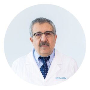 Dr. Haidar Mahmoud